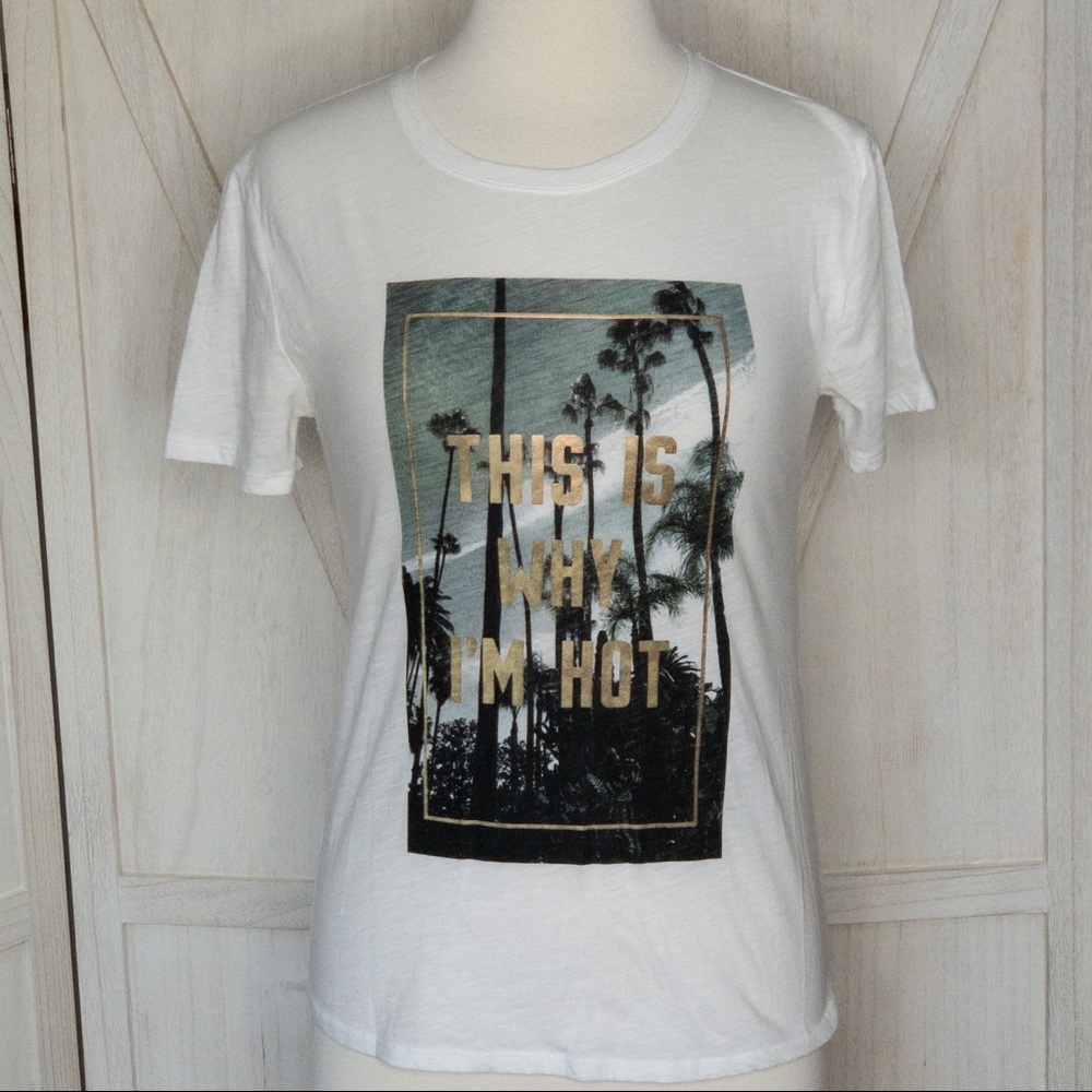 VS | This Is Why I’m Hot Sport Tee